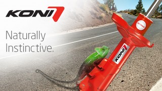 MOTORQUALITY E KONI: UN MATRIMONIO TRA SERVIZIO E INNOVAZIONE.