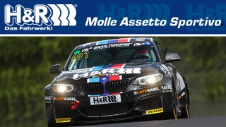 Sospensioni sportive H&R: controllo e guida eccellenti.